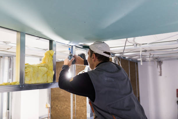 Best Spray Foam Insulation  in Madison, NE