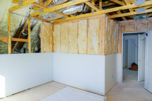 Best Insulation Replacement Services  in Madison, NE