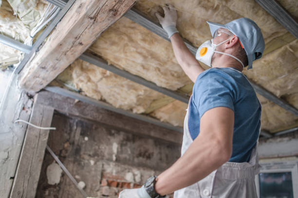 Best Spray Foam Insulation  in Madison, NE