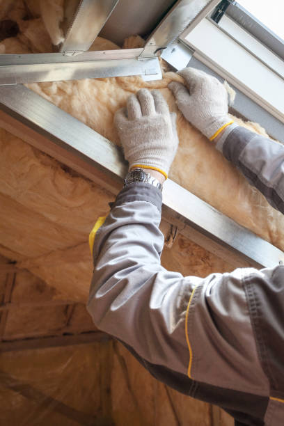 Best Attic Insulation Installation  in Madison, NE