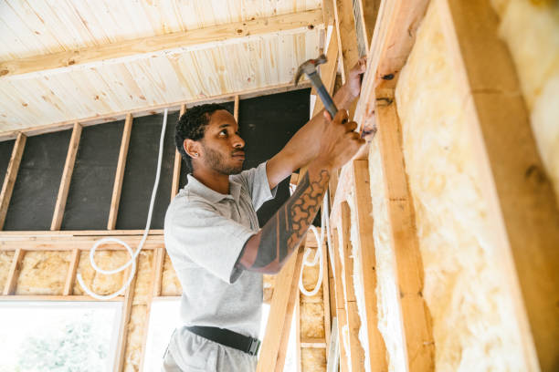 Best Insulation Removal  in Madison, NE