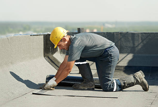 Best Affordable Insulation Services  in Madison, NE