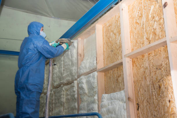 Best Blown-in Insulation  in Madison, NE