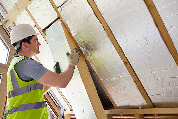 Best Residential Insulation Services  in Madison, NE