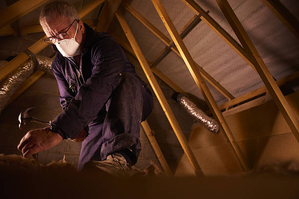 Best Best Insulation Companies  in Madison, NE